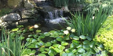 Water Features & Waterfalls
