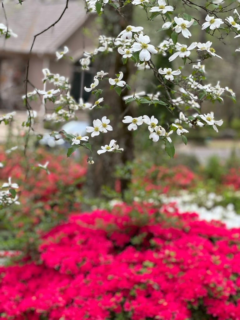 Cherokee County landscaping