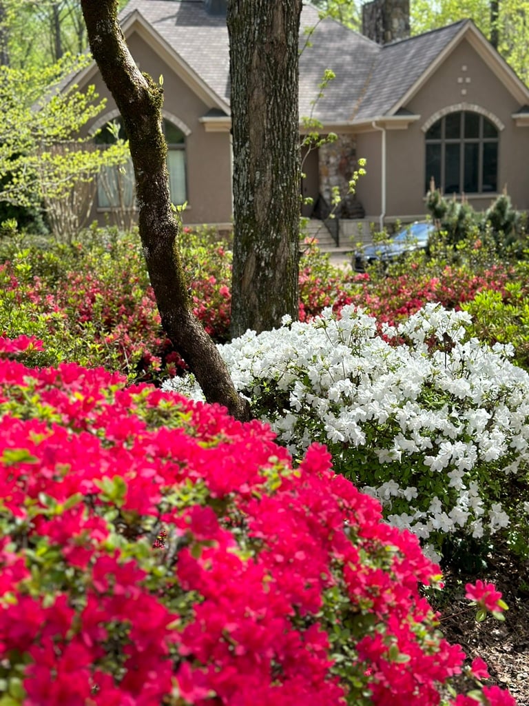 Cobb County landscaping
