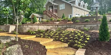 Artful Placement of Ideal Plant Selections & Sod