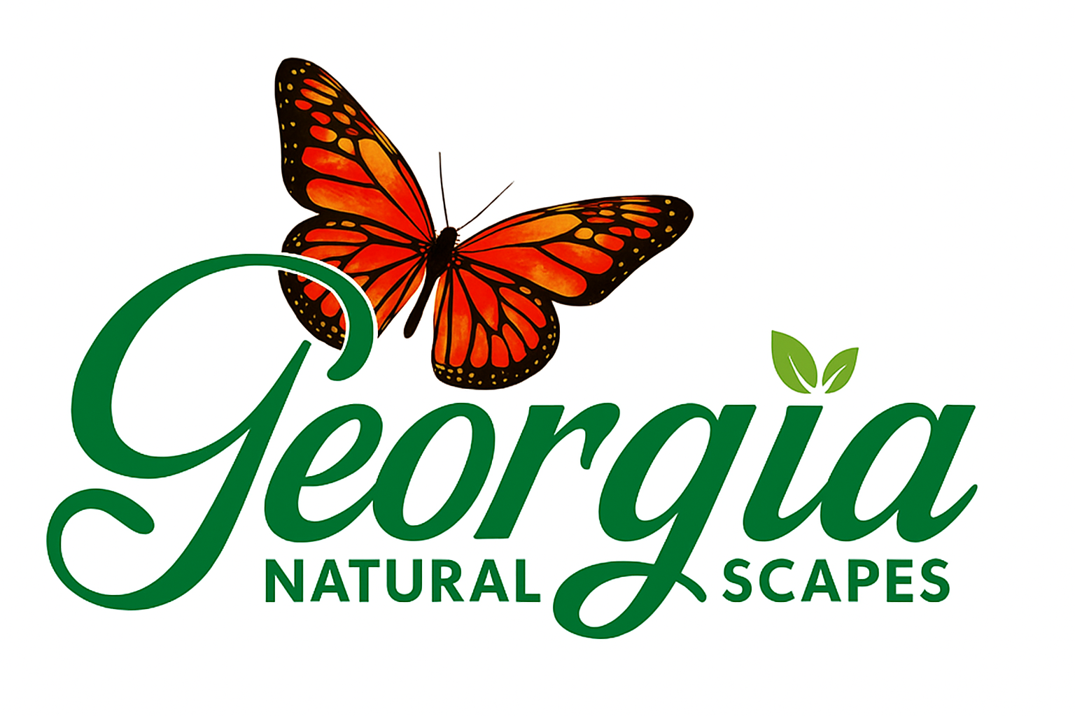 Georgia Natural Scapes